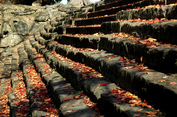 紅葉・黄葉_b0093754_02112.jpg
