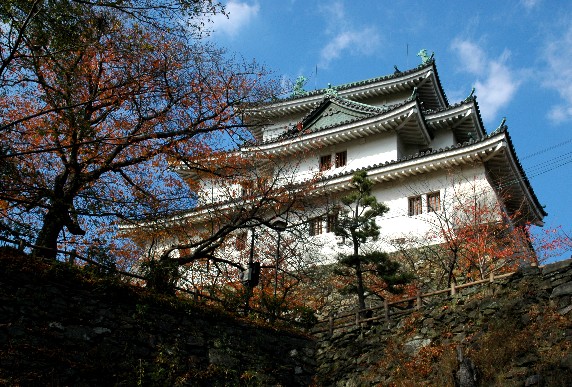 紅葉・黄葉_b0093754_023558.jpg