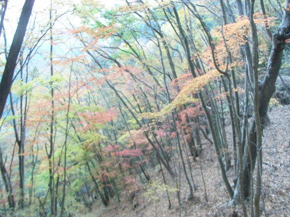 Gearlist for Okutama Nov. 24-25_e0024555_1574721.jpg