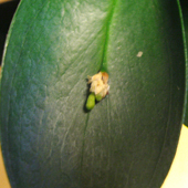 a0040963_1355215.jpg