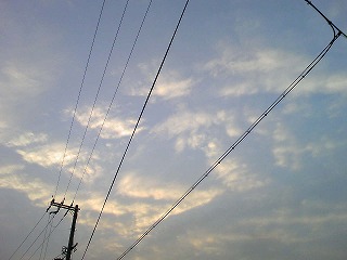 e0081772_1523151.jpg