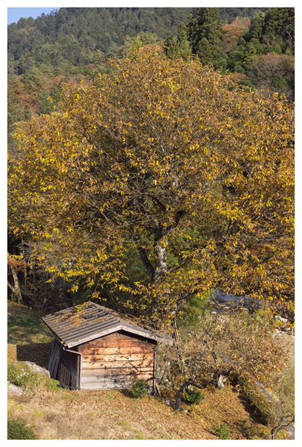 小屋のある風景_c0054876_18212434.jpg