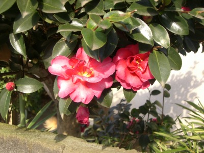 c0078480_0301239.jpg