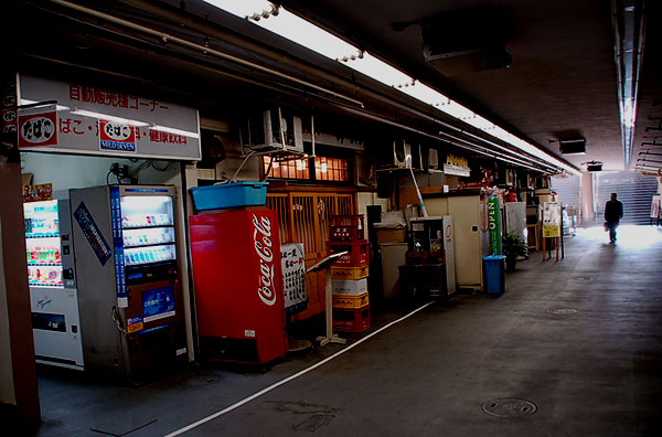 c0009981_54539.jpg