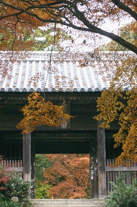 書写山②　仁王門、仏の世界へ_b0067283_1224267.jpg