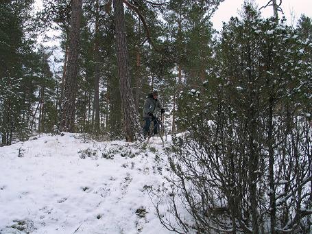 f0007785_65053.jpg