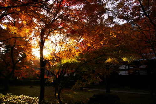 真正極楽寺　（通称　真如堂）_b0080789_20382427.jpg