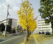 b0114392_0545745.jpg
