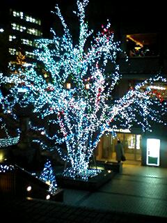 b0113993_0242862.jpg