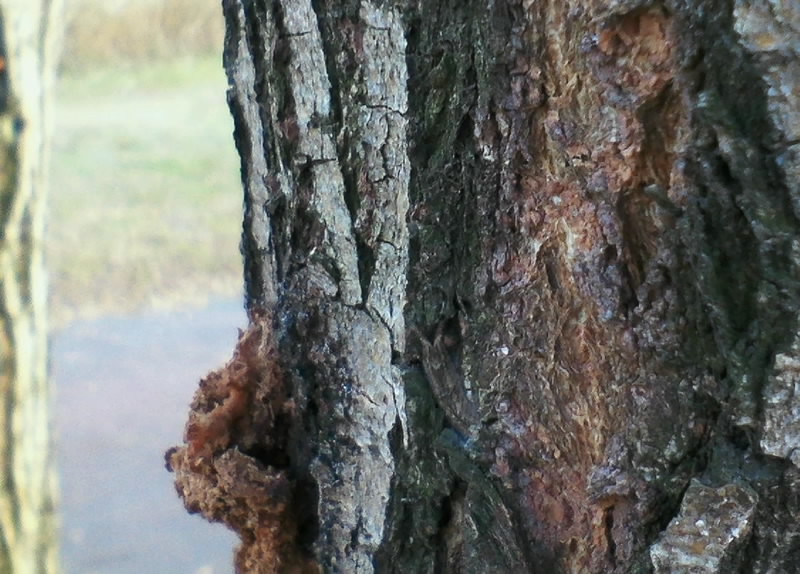 b0078795_20414773.jpg