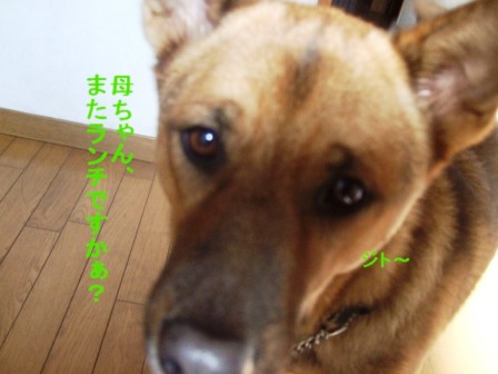b0087400_22335687.jpg