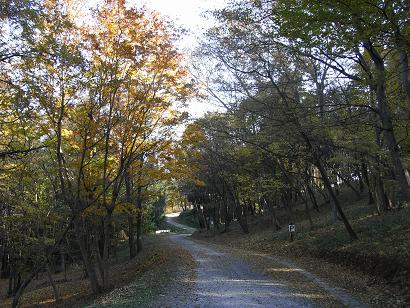 気軽な埼玉県の散歩道　仙元山＆ポンポン山_b0116703_2192945.jpg