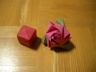 色々と Magic Rose Cube と 福山ローズ と Fireworks と Wxyz Module と ダビデの星 作成 Mrtn Directory