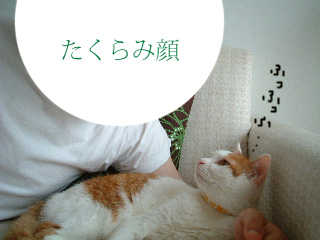 c0006312_16162479.jpg