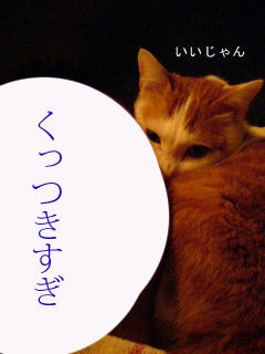 c0006312_16174275.jpg