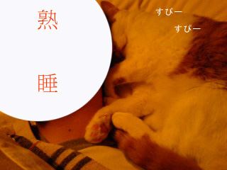 c0006312_16175635.jpg