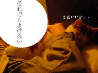c0006312_16182557.jpg