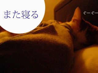 c0006312_16183688.jpg