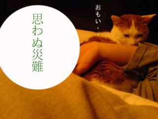 c0006312_1618861.jpg