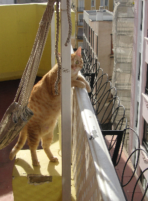 e0115312_35335.jpg