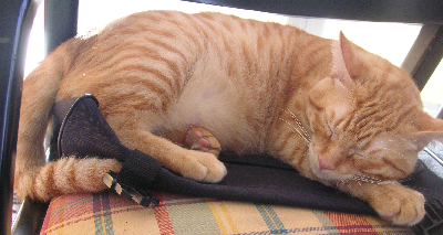 e0115312_3543777.jpg