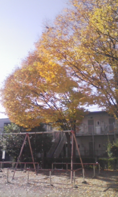 e0009714_1521777.jpg