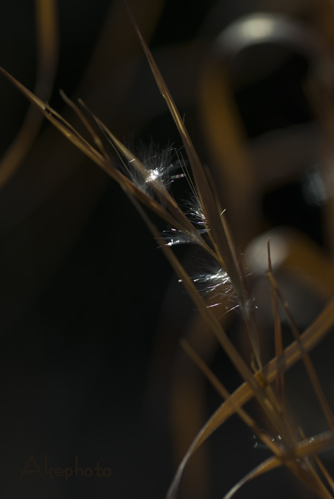 winter sight Ⅰ_e0127416_21343787.jpg