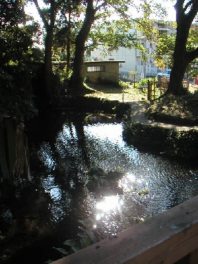 第3回まち駅ウォーキング _b0093221_20381836.jpg
