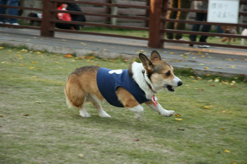 e0071225_2115456.jpg