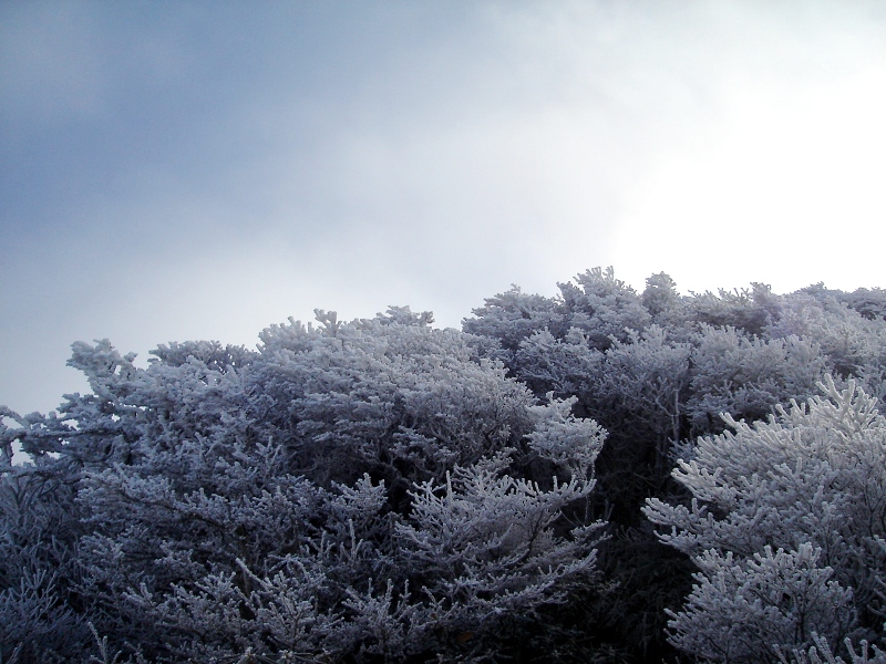 指山から三俣山(2007.12.5)_f0039234_10474131.jpg