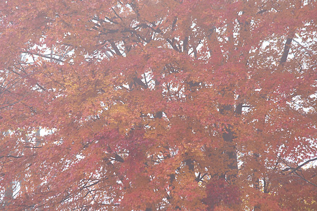 c0067040_2285548.jpg