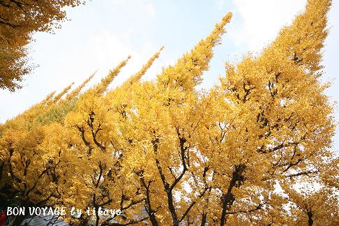 e0118941_1045579.jpg