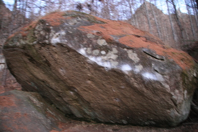 a0016346_1661562.jpg