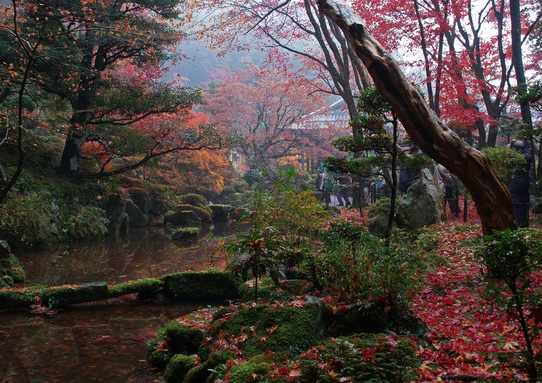 錦秋の湖東三山_c0094546_16135555.jpg