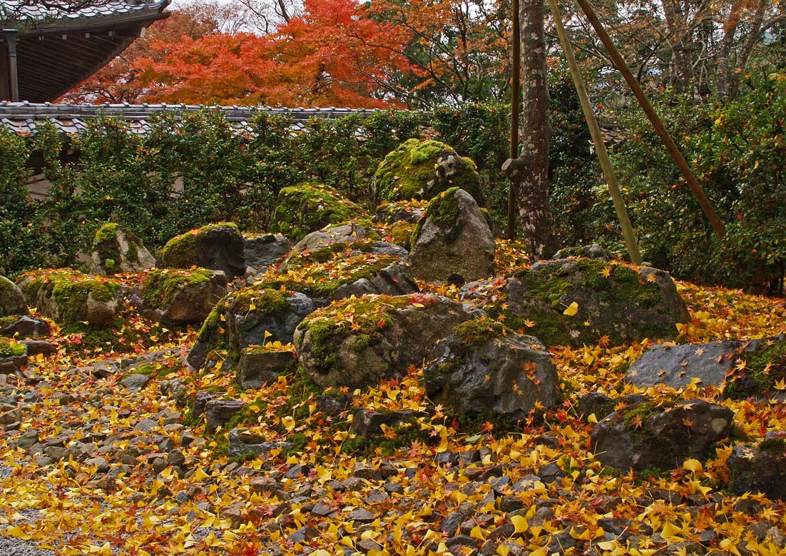 錦秋の湖東三山_c0094546_19512075.jpg