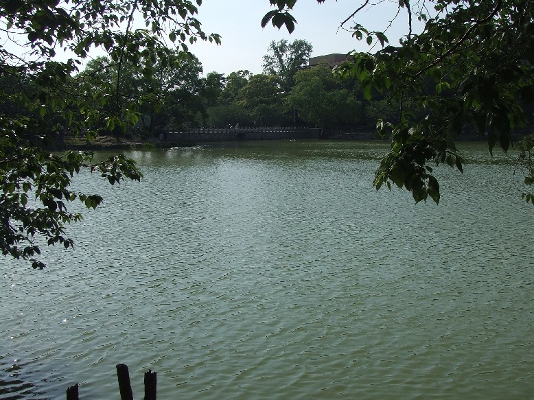 Mandai Pond_e0046748_1519259.jpg