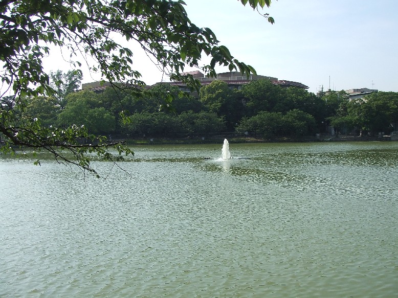 Mandai Pond_e0046748_1520093.jpg