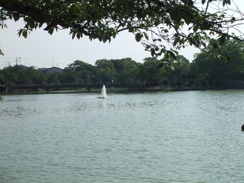 Mandai Pond_e0046748_15201890.jpg