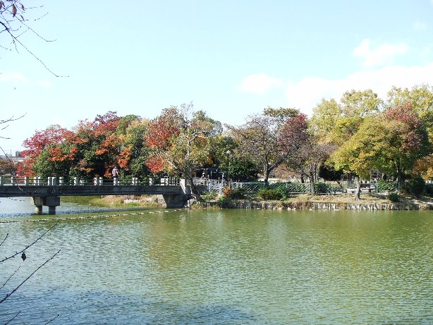 e0046748_1521394.jpg