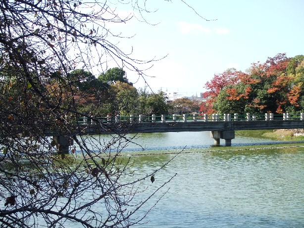 Mandai Pond_e0046748_15221388.jpg