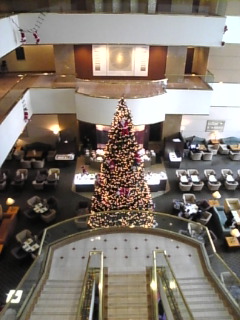 c0069552_1734824.jpg
