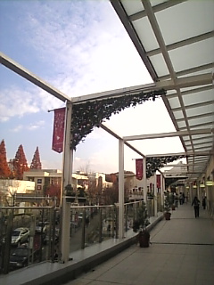 c0069552_1734829.jpg