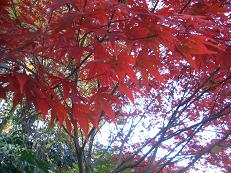 b0098660_23243354.jpg