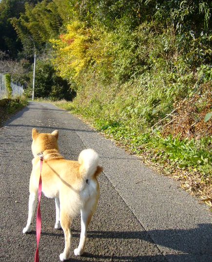 12月7日(金)お家でカフェ!_f0060461_16355967.jpg