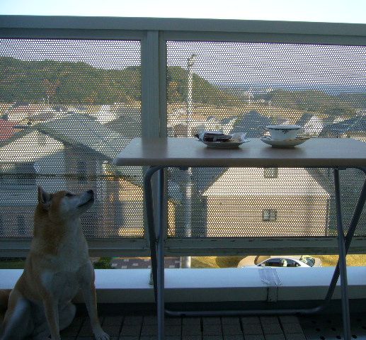12月7日(金)お家でカフェ!_f0060461_16451635.jpg