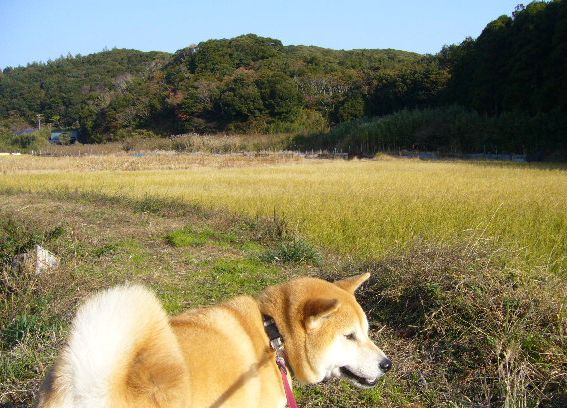 12月7日(金)お家でカフェ!_f0060461_16593397.jpg