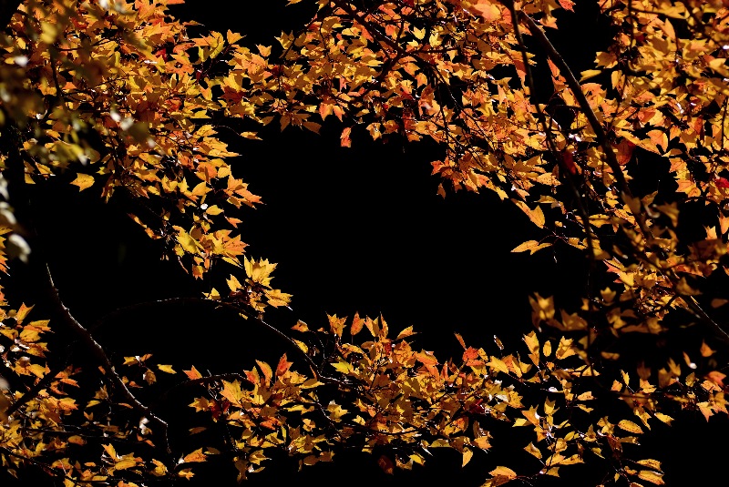 d0013363_2395949.jpg
