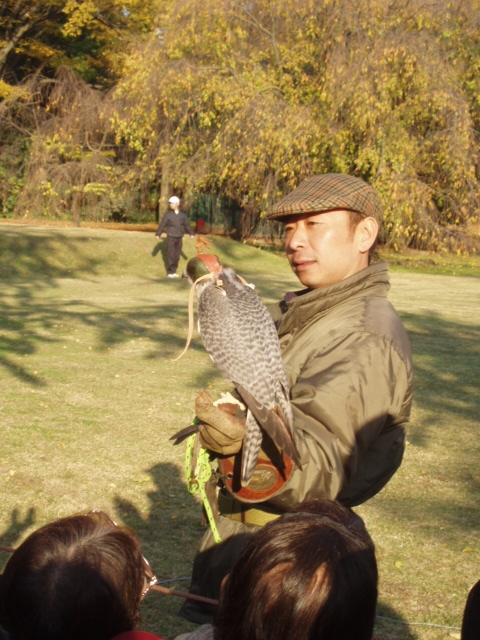 「新風」：二条城の庭園にて_f0150063_12565691.jpg