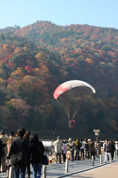 京都オフにて～嵐山から_b0055171_20191596.jpg