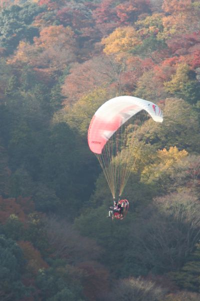 京都オフにて～嵐山から_b0055171_20192985.jpg